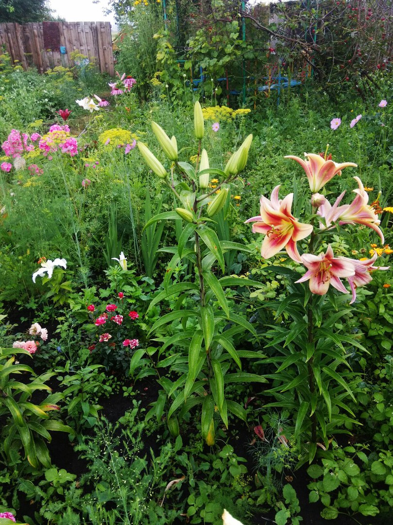 фотография из вКонтакта