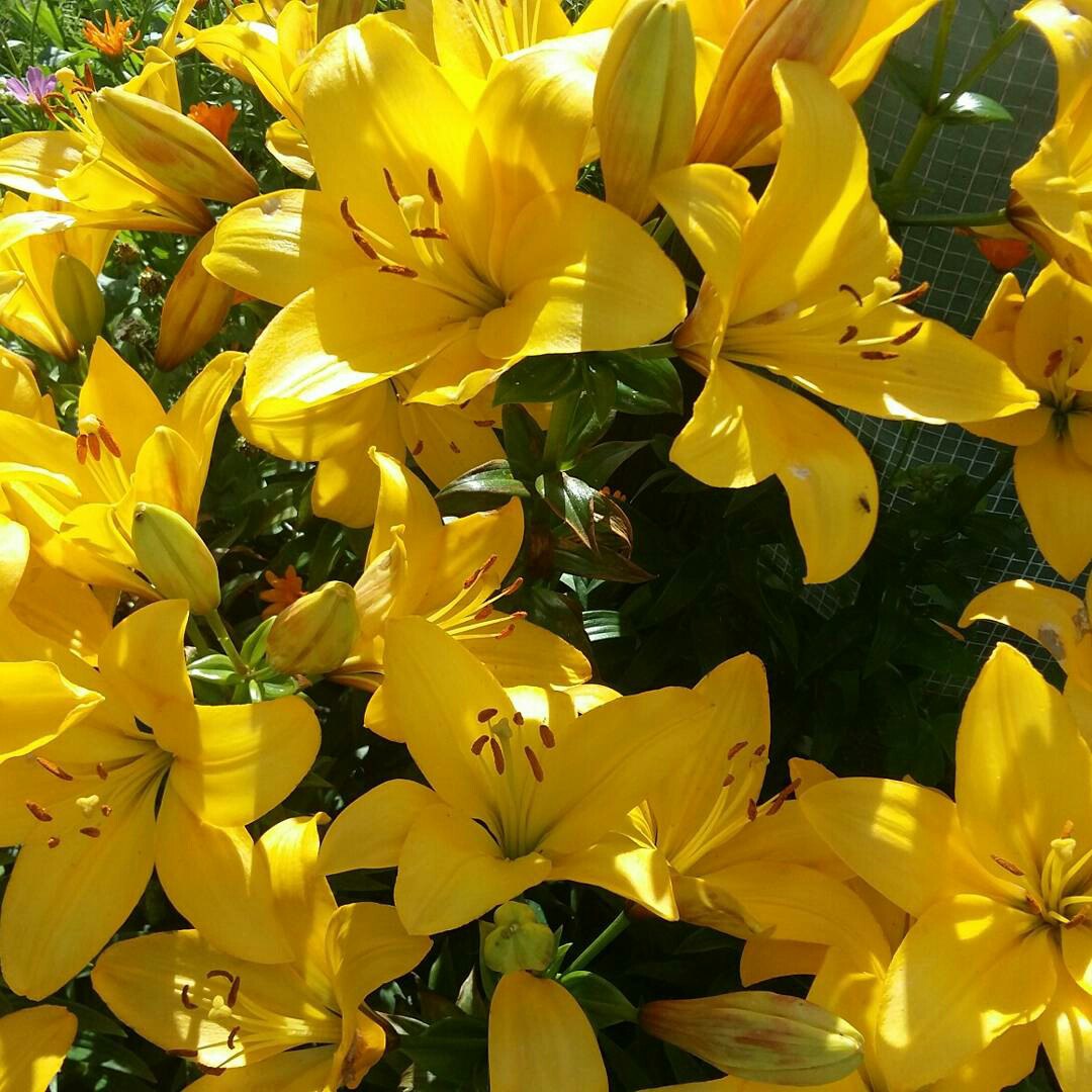 фотография из вКонтакта