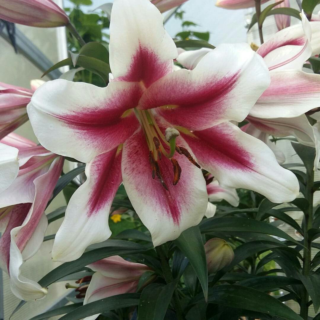 фотография из вКонтакта