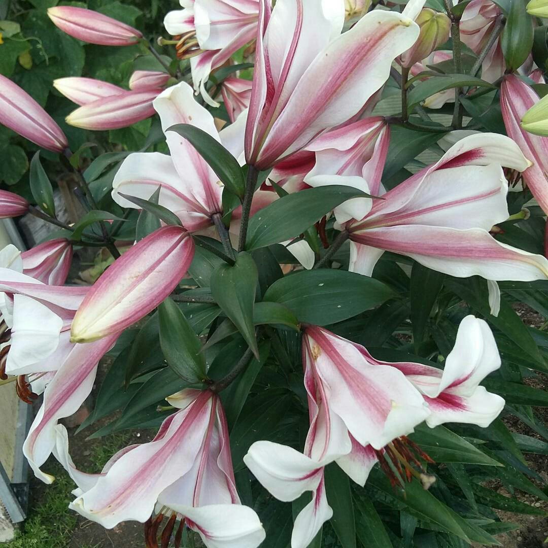 фотография из вКонтакта