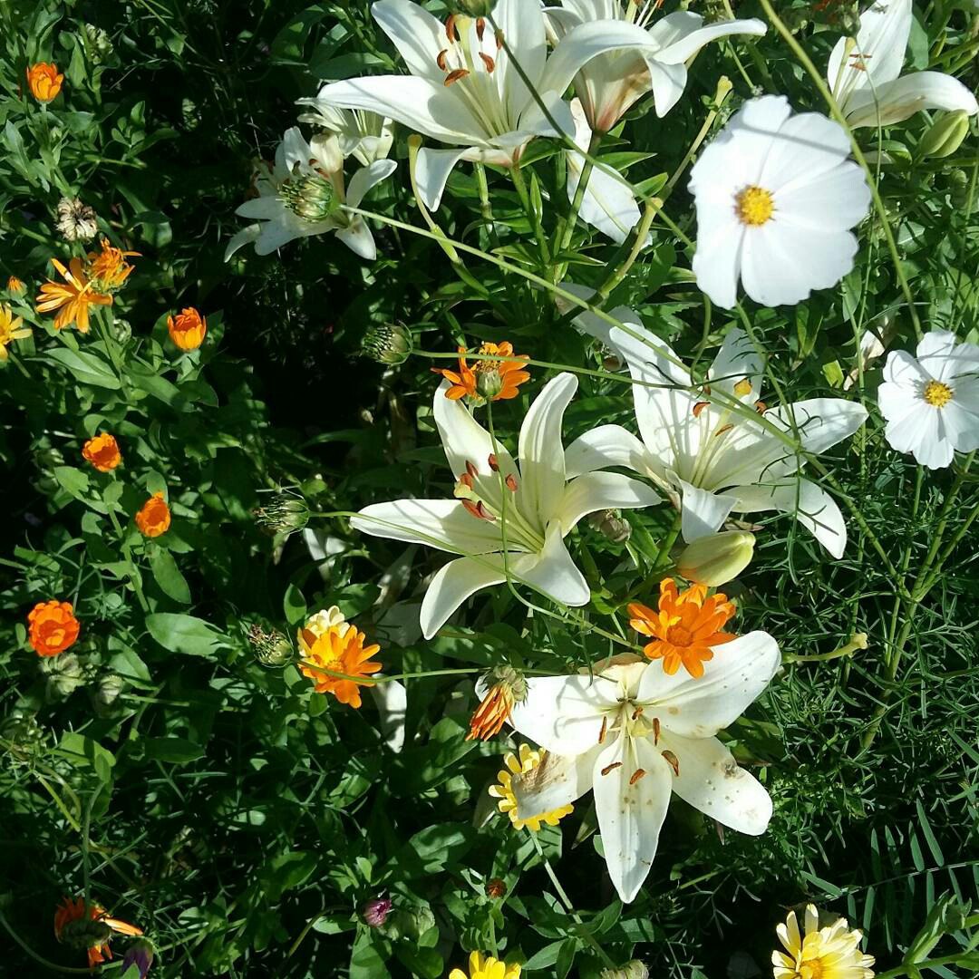 фотография из вКонтакта