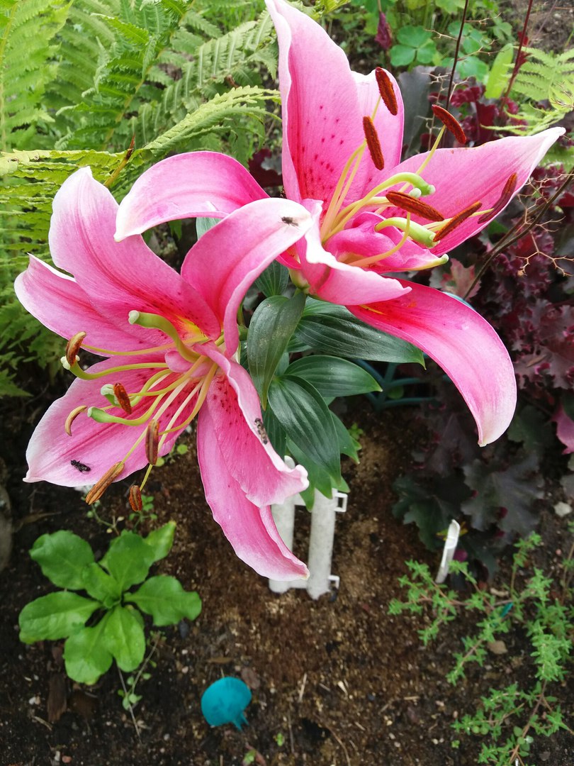 фотография из вКонтакта