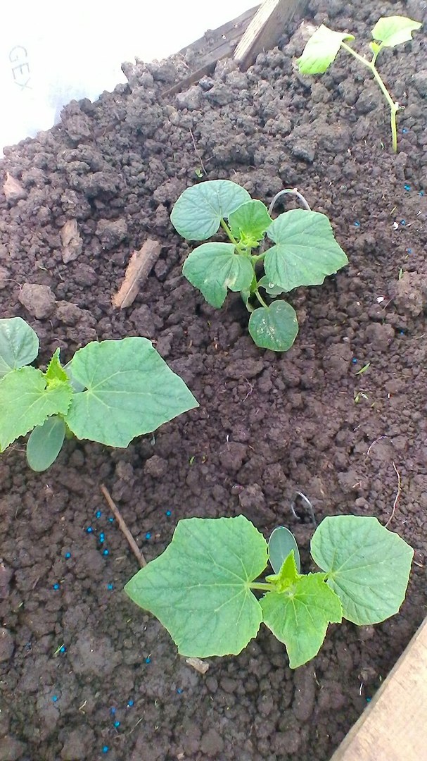 фотография из вКонтакта