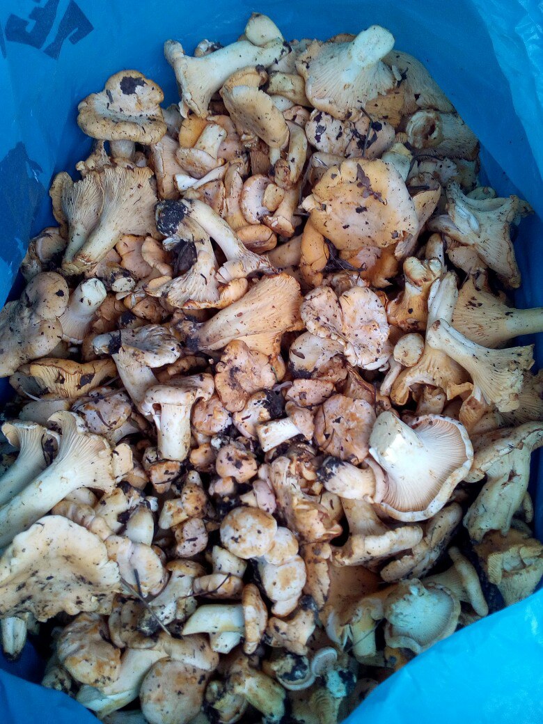 фотография из вКонтакта