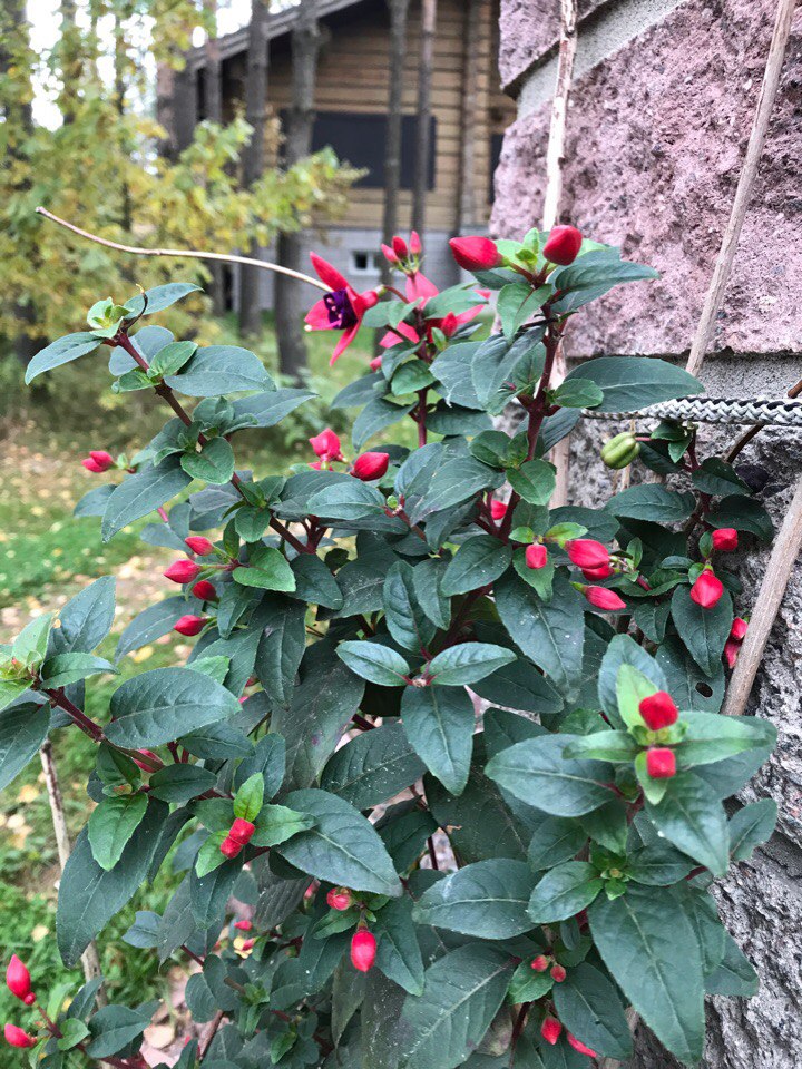 fotografie z vKontakte