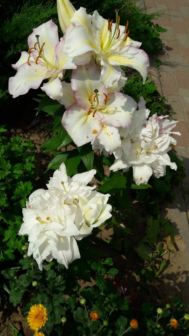 фотография из вКонтакта