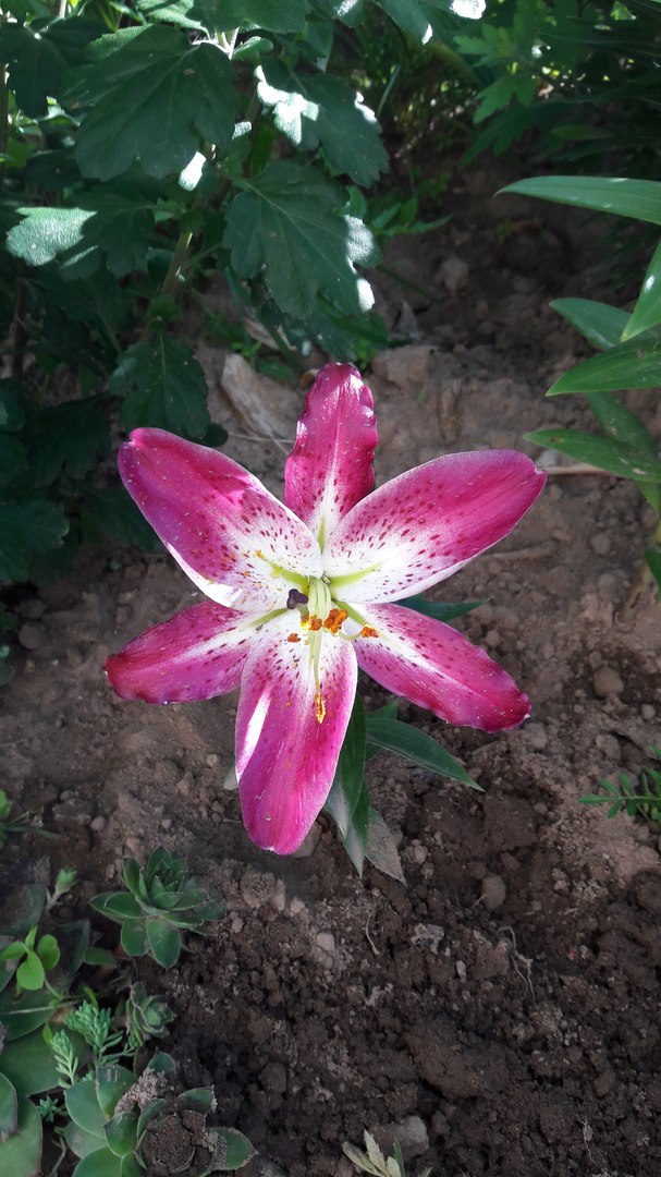 фотография из вКонтакта