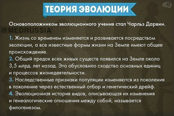 Основные концепции по биологии