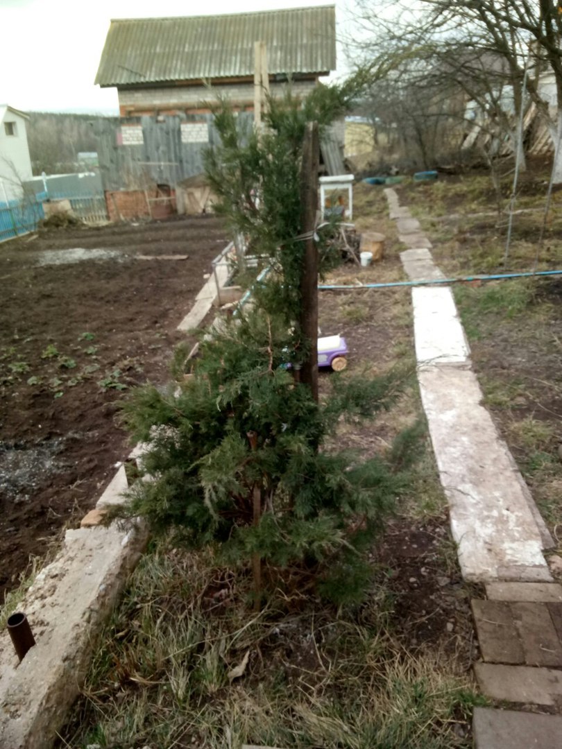 фотография из вКонтакта