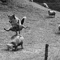 Аликсей Афанасов  АЛЪЁШЕНЬКА