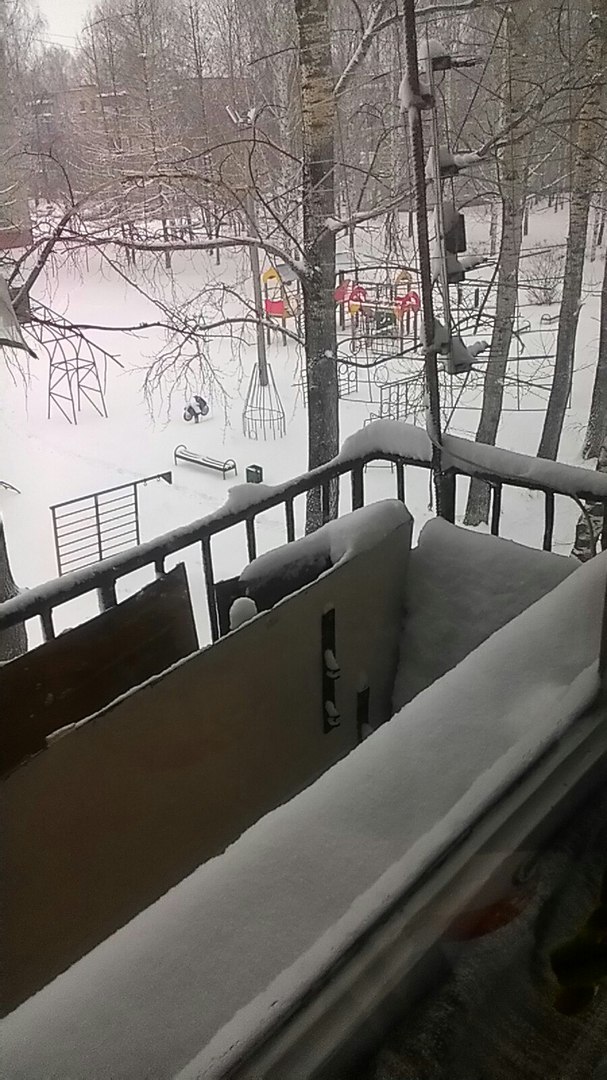 фотография из вКонтакта