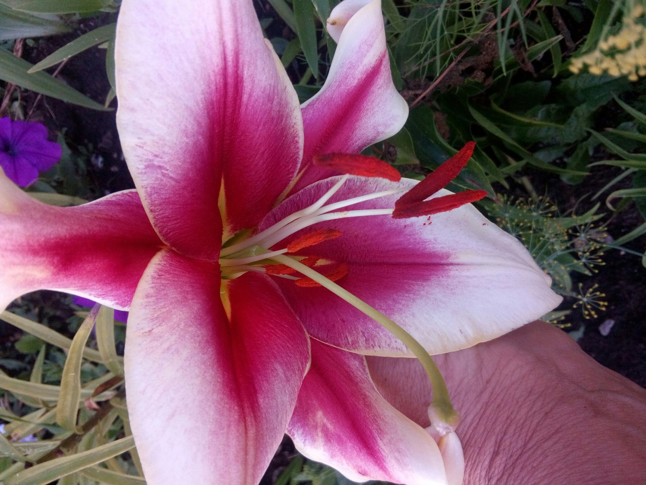 фотография из вКонтакта