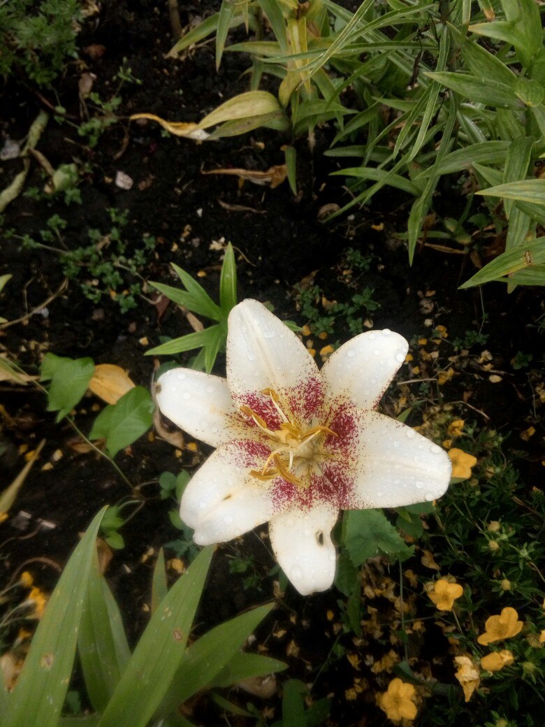 фотография из вКонтакта