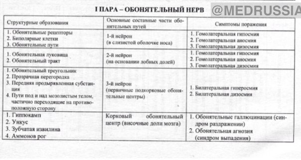 Анатомия черепных нервов 