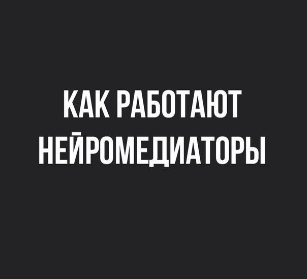 Как работают нейромедиаторы