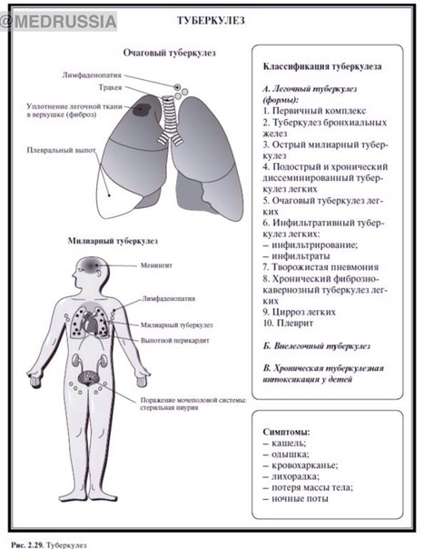 Заболевания дыхательной системы. 