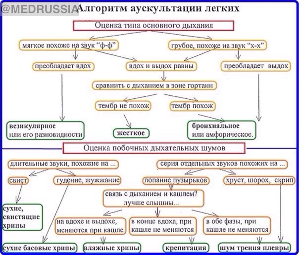 Аускультация легких. Супер схемы   