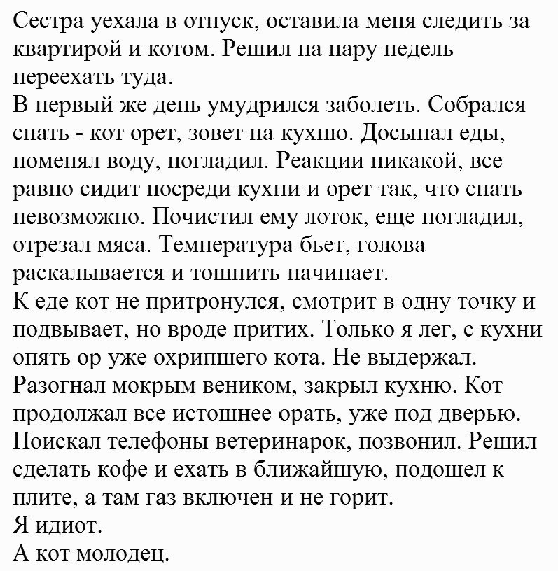 gREIYjFn670.jpg