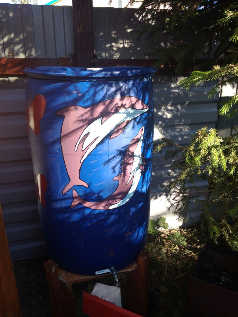 фотография из вКонтакта