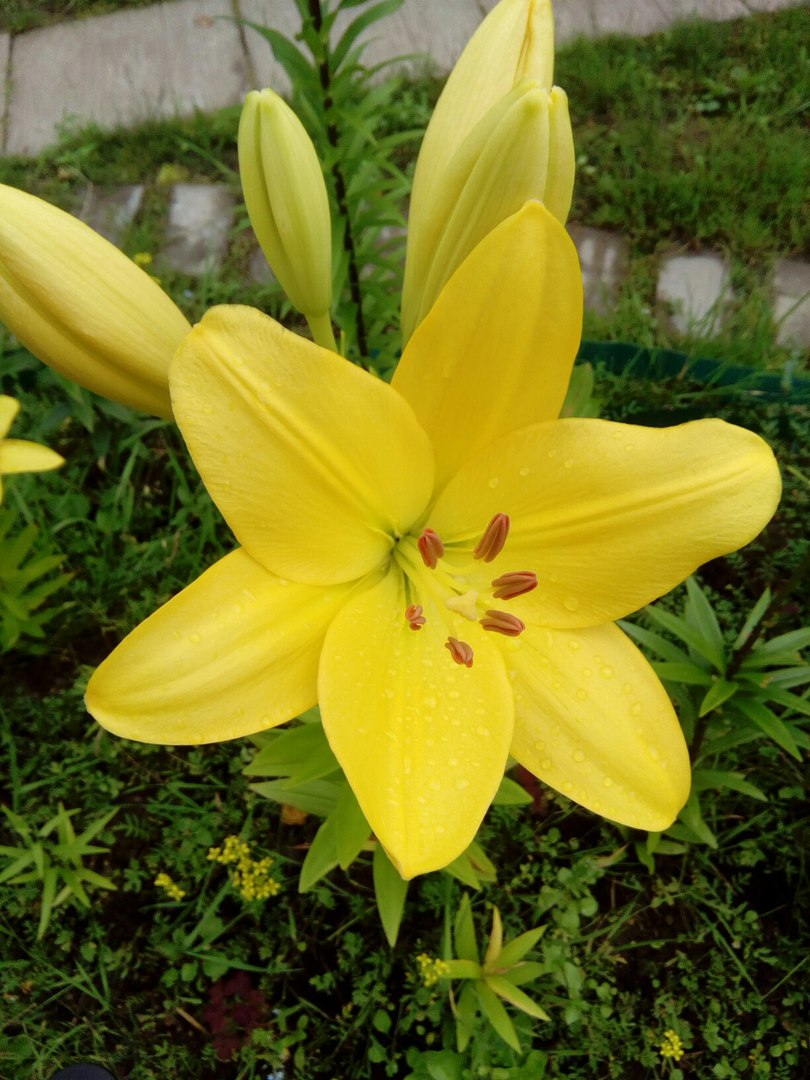 фотография из вКонтакта