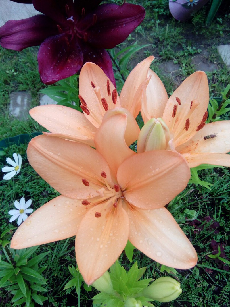 фотография из вКонтакта