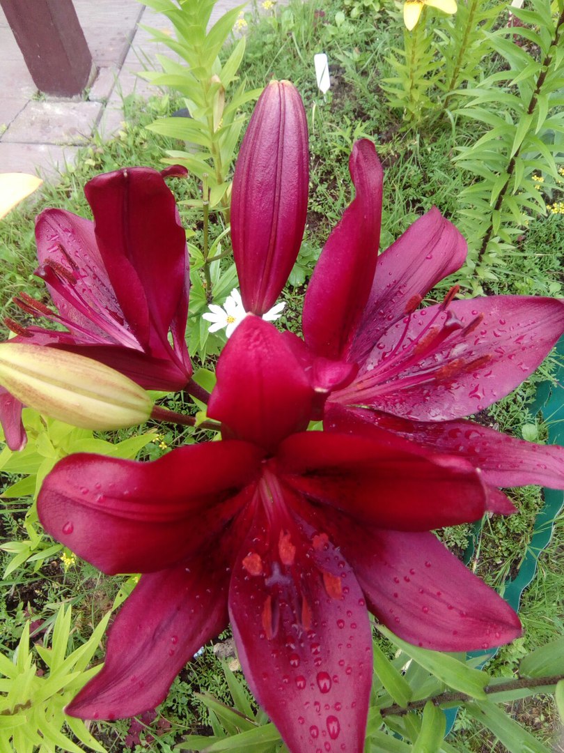 фотография из вКонтакта