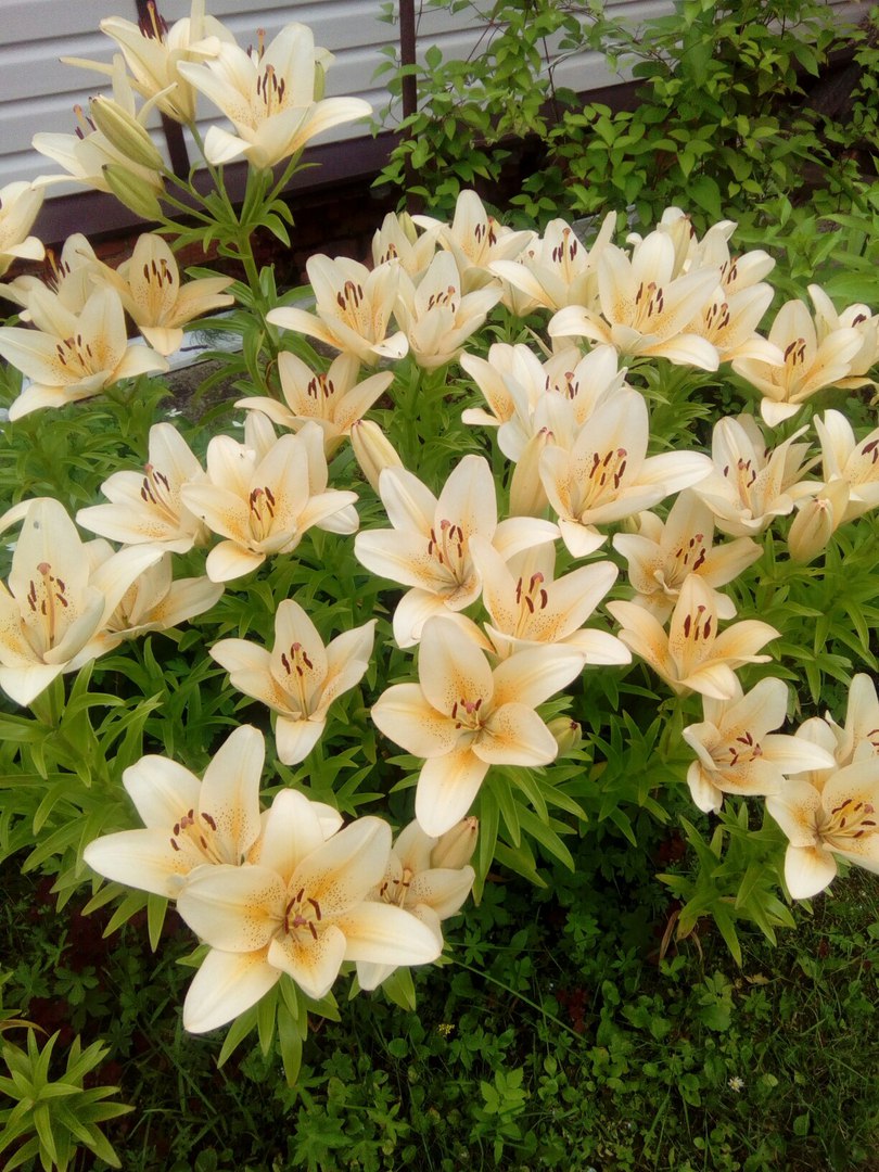 фотография из вКонтакта