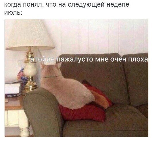 z3jbUNvUbUc.jpg
