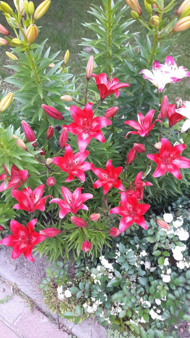 фотография из вКонтакта