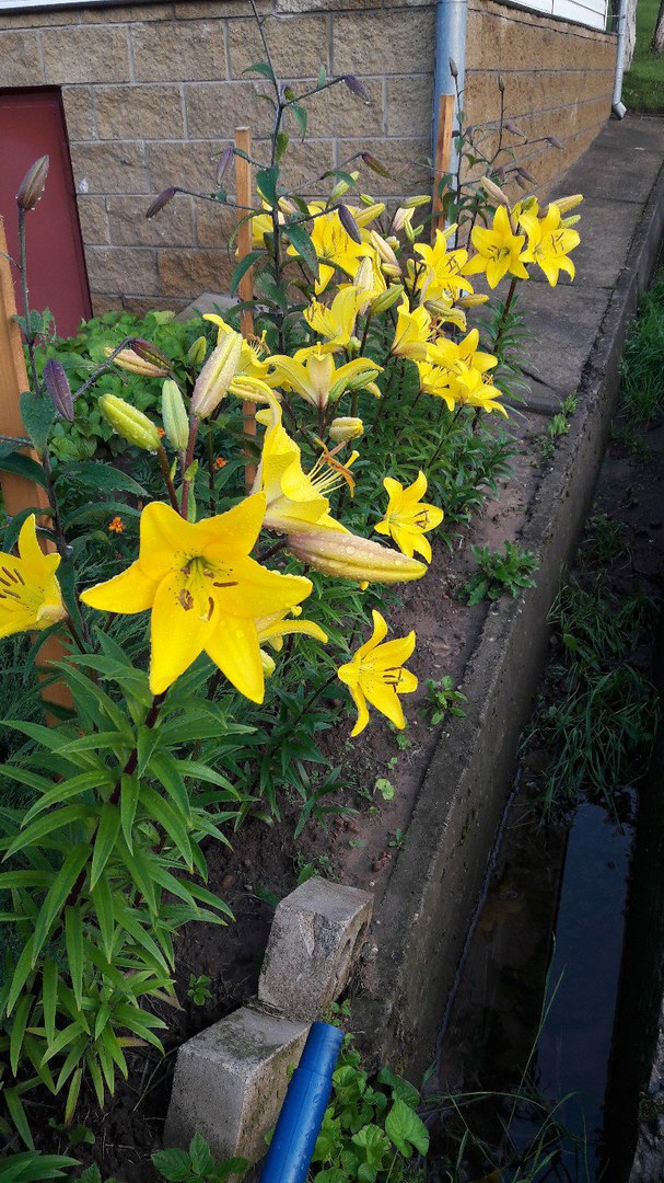 фотография из вКонтакта