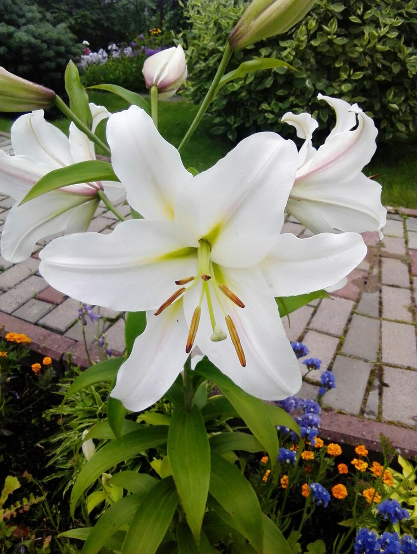 фотография из вКонтакта