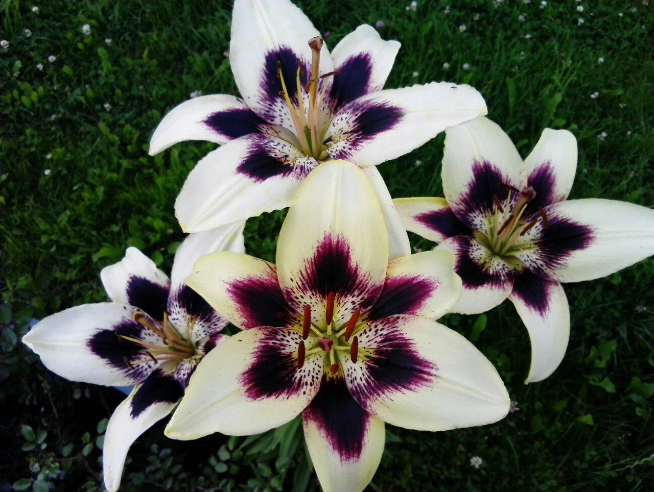 фотография из вКонтакта