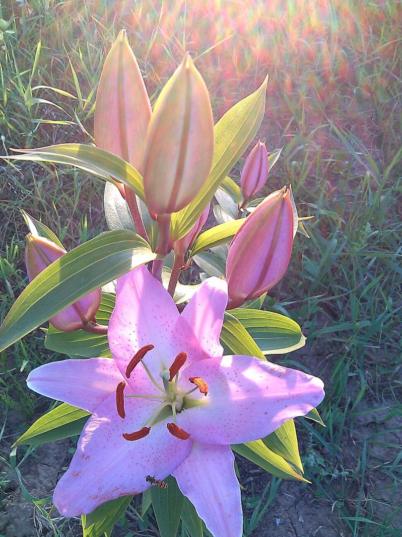 фотография из вКонтакта