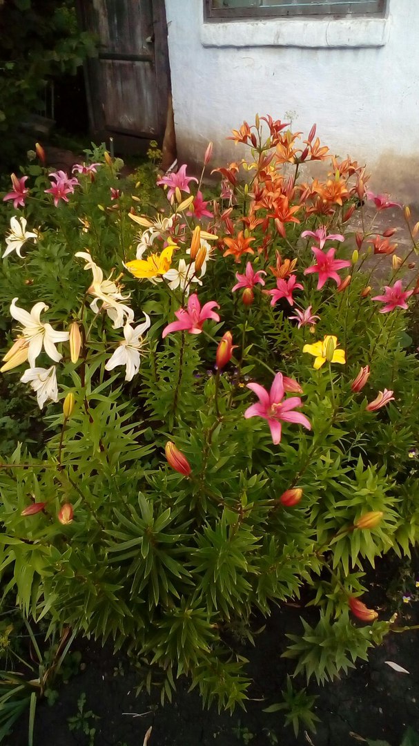 фотография из вКонтакта