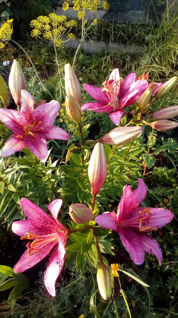 фотография из вКонтакта