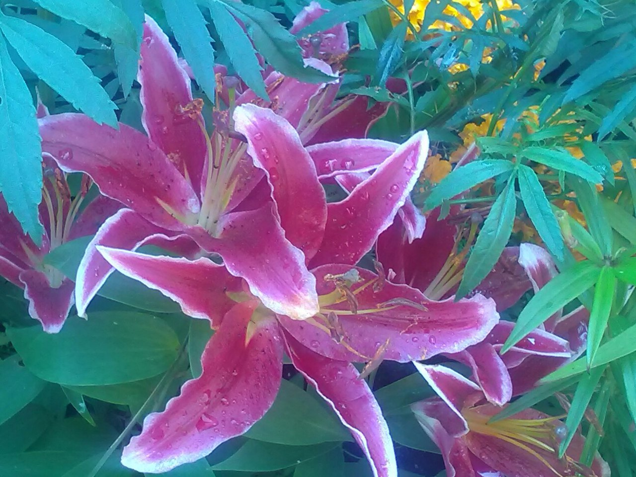 фотография из вКонтакта