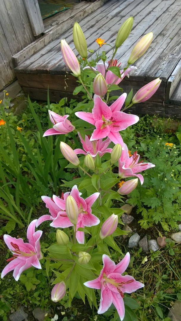 фотография из вКонтакта