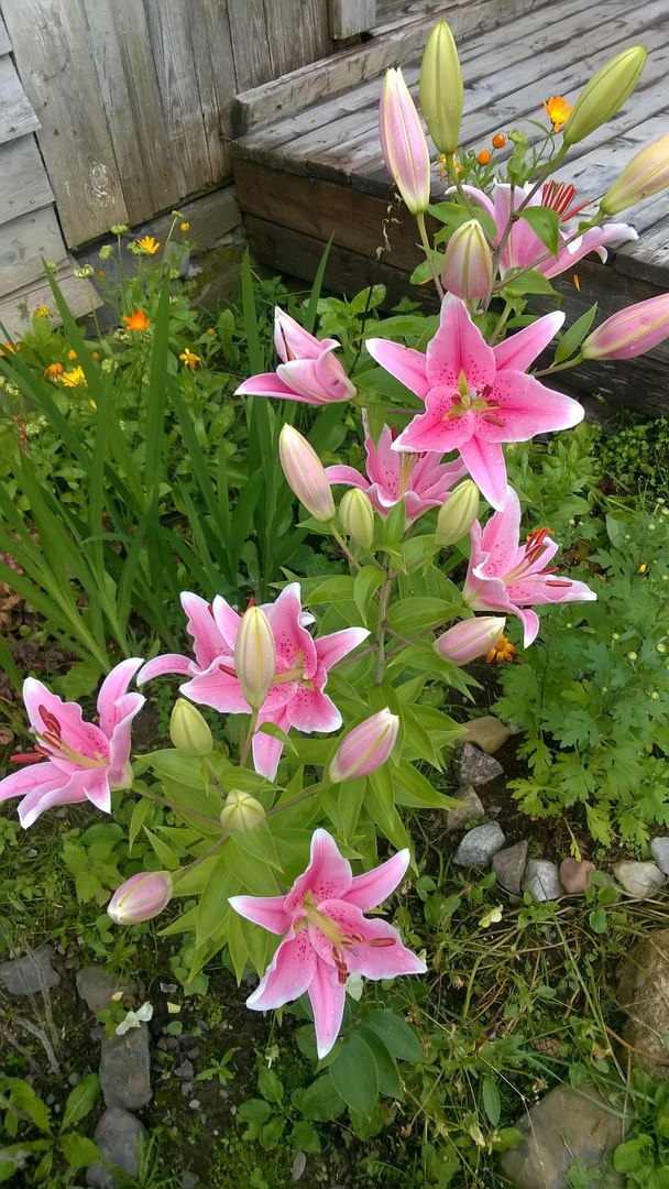 фотография из вКонтакта