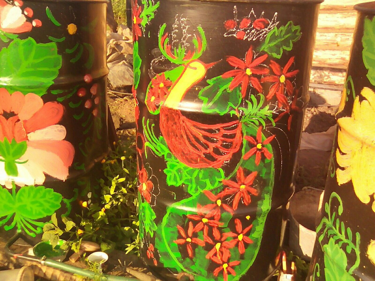 фотография из вКонтакта