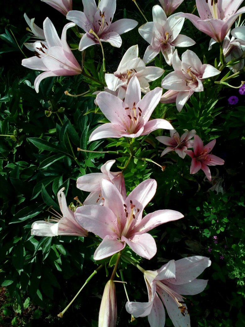 фотография из вКонтакта