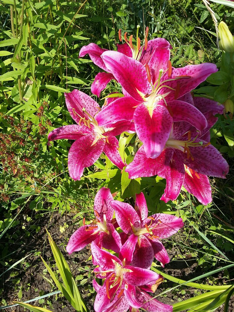 фотография из вКонтакта