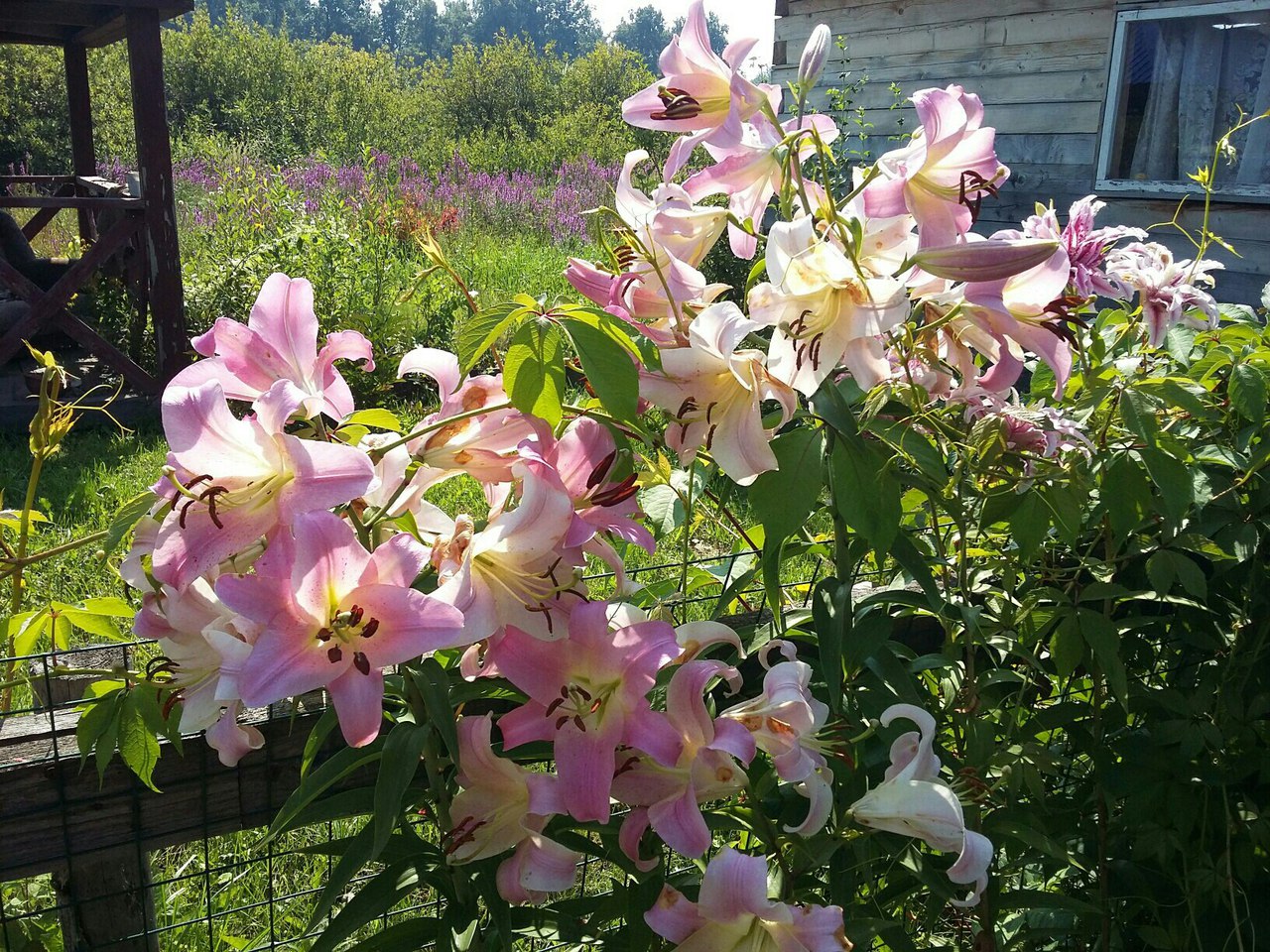 фотография из вКонтакта