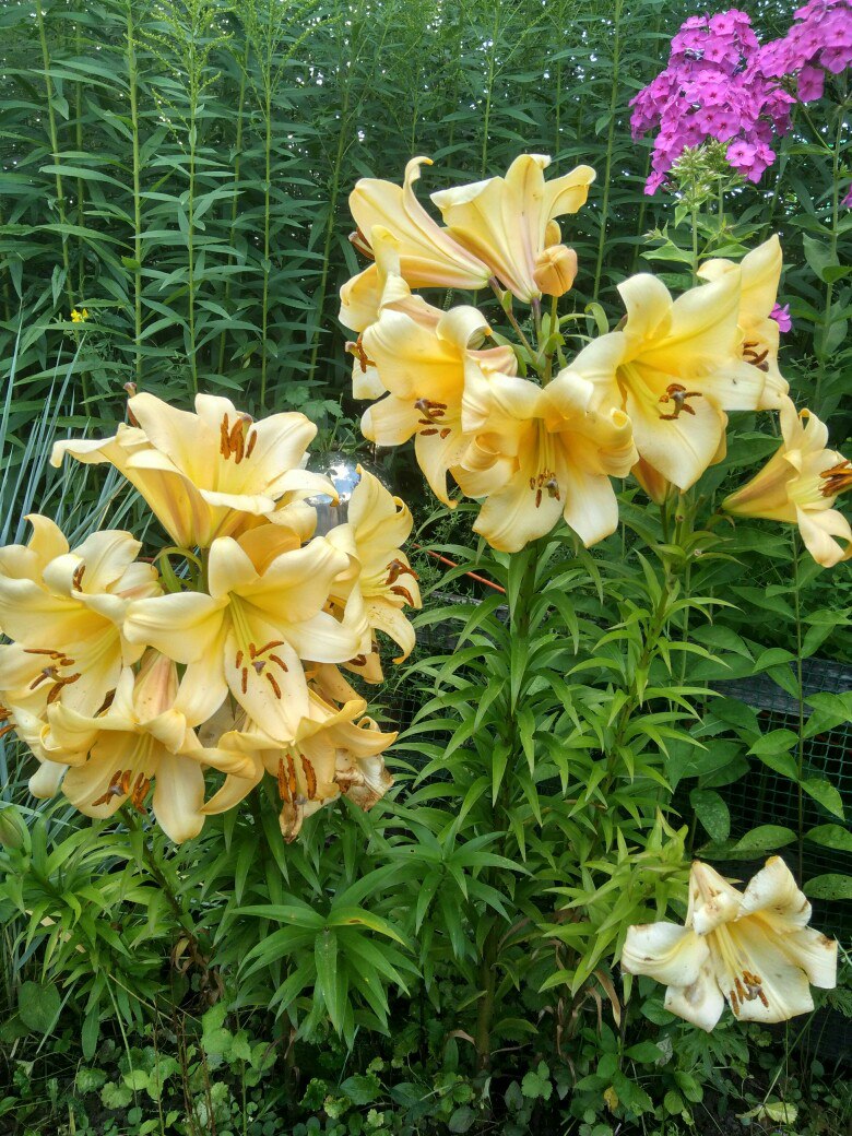 фотография из вКонтакта