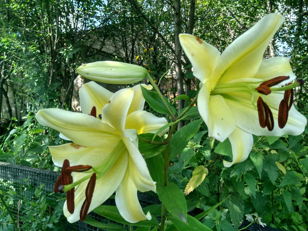 фотография из вКонтакта