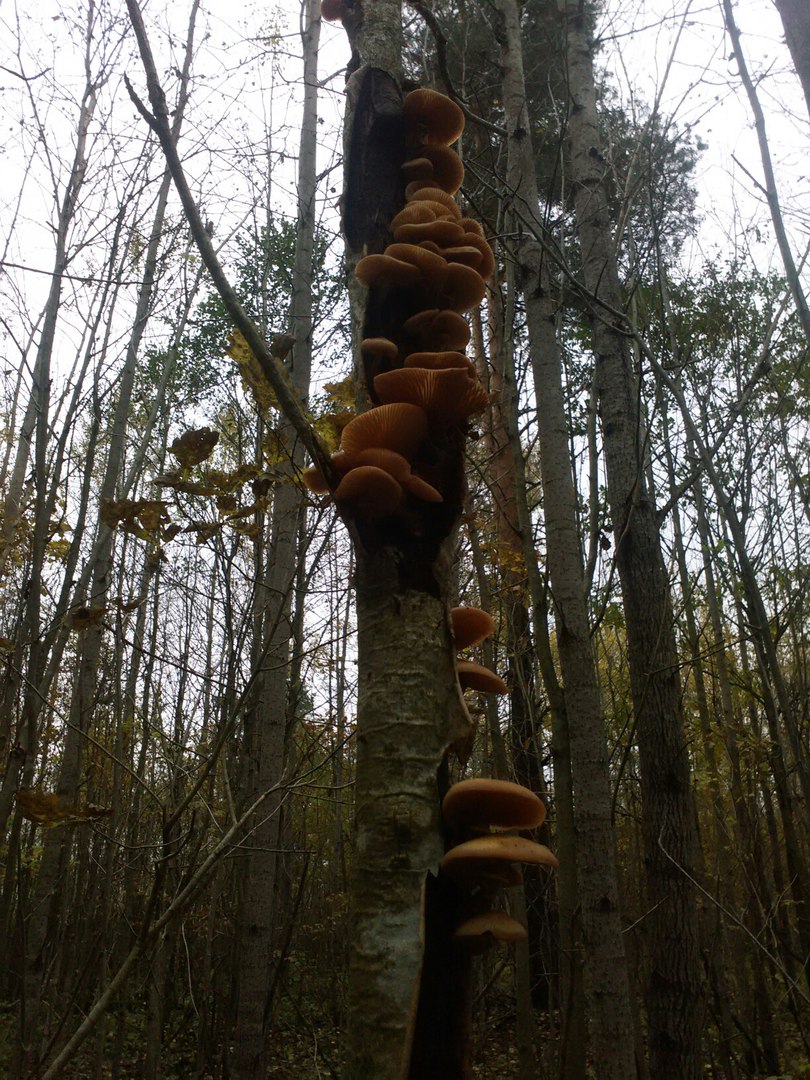 фотография из вКонтакта