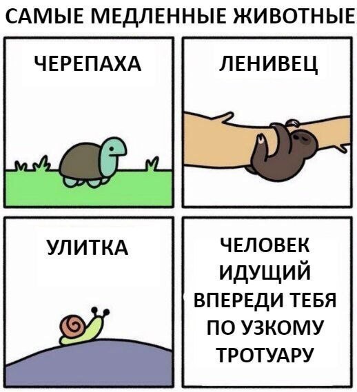Прикол про теслу