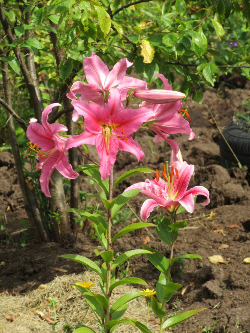 фотография из вКонтакта