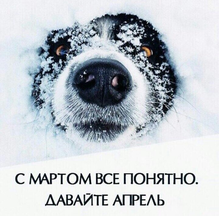 4boPpCs5tEg.jpg