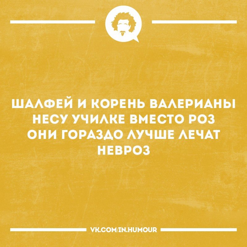 https://pp.userapi.com/c543107/v543107048/5f428/wRClU71StBk.jpg