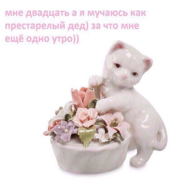 ofkUOJAghC8.jpg